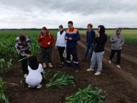 Студенты 1 и 2 курса проходят учебно-ознакомительную и  учебно-технологическую практику
