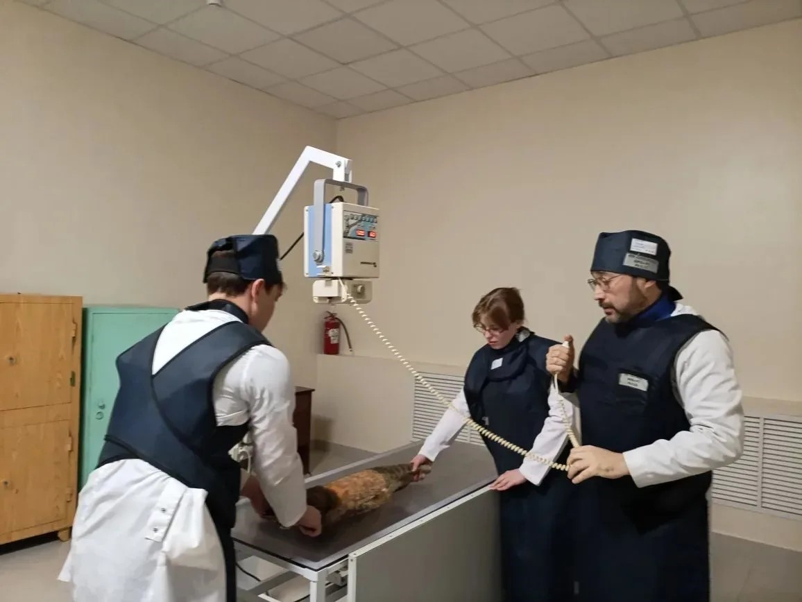 Под кураторством института ДО Казанского ГАУ прошло обучение по программе «Рентгенология и эффективные методы диагностики в ветеринарной медицине»