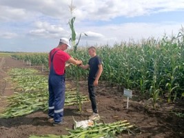 Студенты 1 и 2 курса проходят учебно-ознакомительную и  учебно-технологическую практику